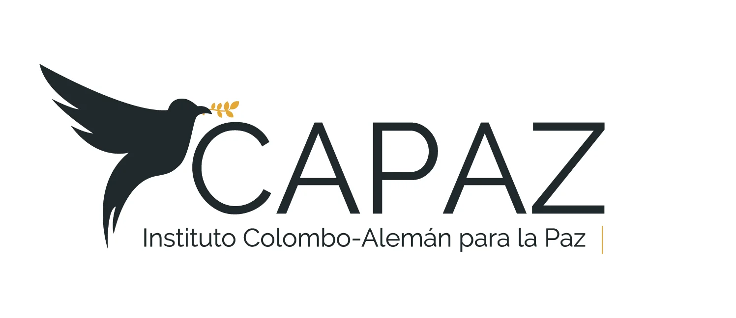 ICAPAZ_Logo_v3_dark.webp